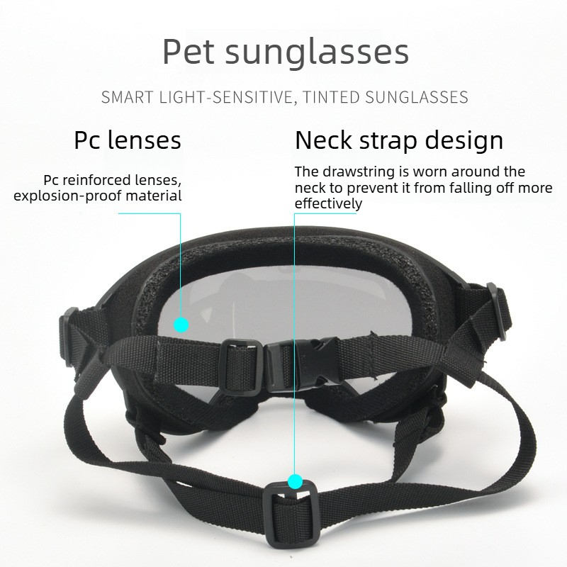 Очки для домашних животных: за – обзор и цена Travel Accessories Gift Ideas